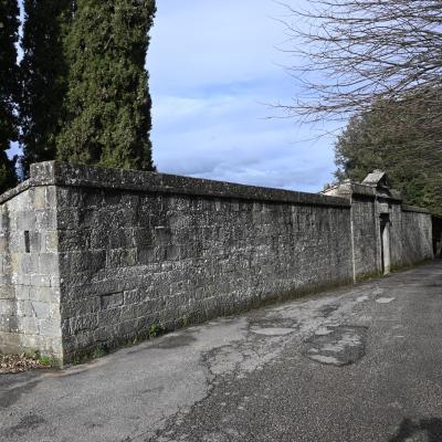 Dsc 0551