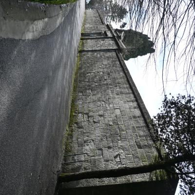 Dsc 0555