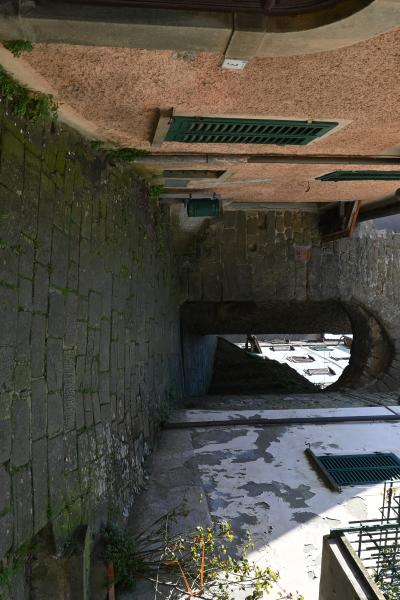 Dsc 0524