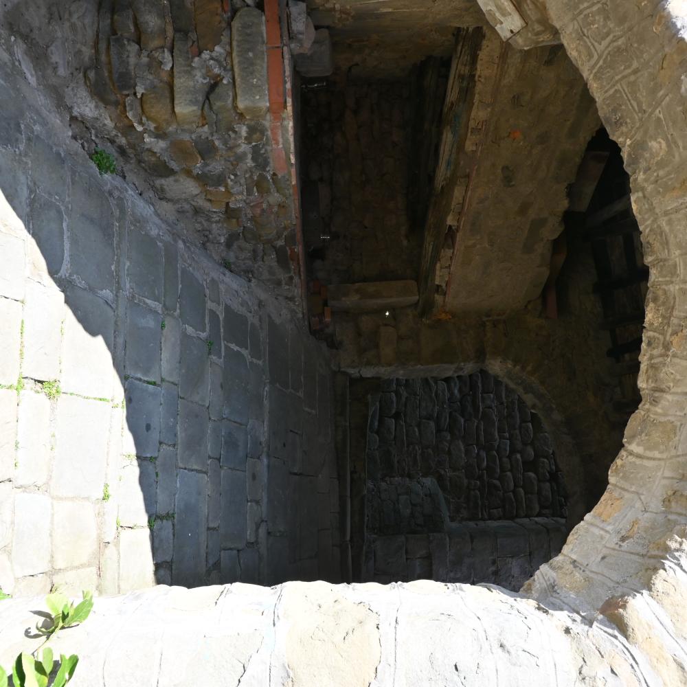 Dsc 0520