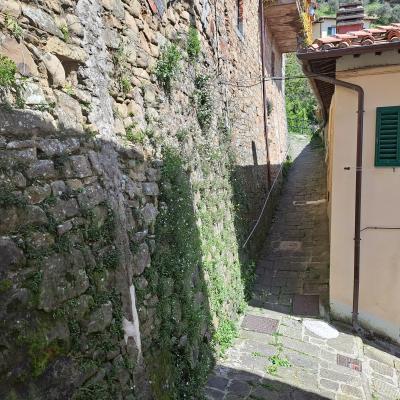 18 Il Rivellino
