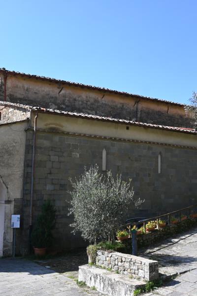 Dsc 0384