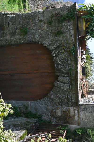 Dsc 0378