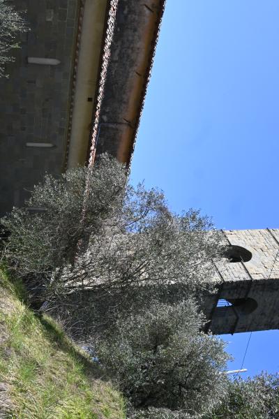 Dsc 0385