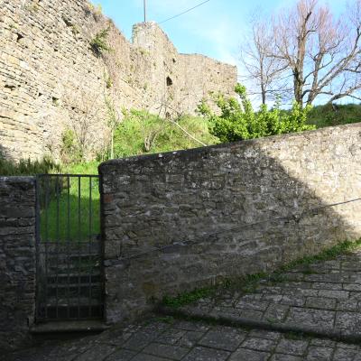 Dsc 0580