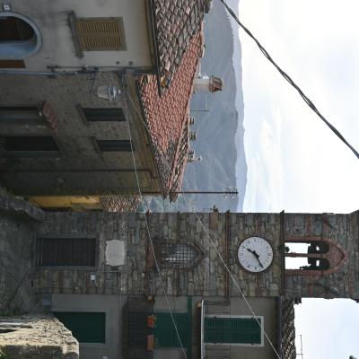 Dsc 0600