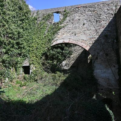 Dsc 0488